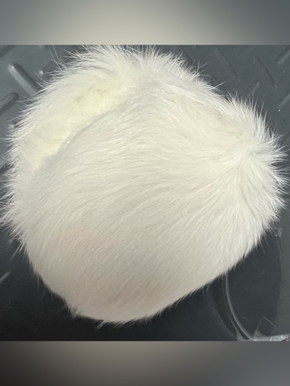 Vintage Eastern Accessories Rabbit Fur Ear Muffs New In Box Imported From Spain